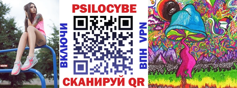 Галлюциногенные грибы Psilocybine cubensis  Севск 